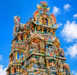 கோவில் அறங்காவலர் பதவிகளைப் பெற ஆளும் கட்சி நிர்வாகிகள் காட்டும் தீவிர ஆர்வம்: பின்னணியில் இருக்கும் முக்கிய காரணங்கள் என்ன?