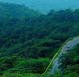 கேரளாவில் அதிர்ச்சி: வயநாட்டில் கொட்டித்தீர்க்கும் பெருமழை, கள்ளாடியில் நிலச்சரிவு – ரெட் அலர்ட் எச்சரிக்கையால் சுற்றுலாப் பயணிகளுக்கு தடை