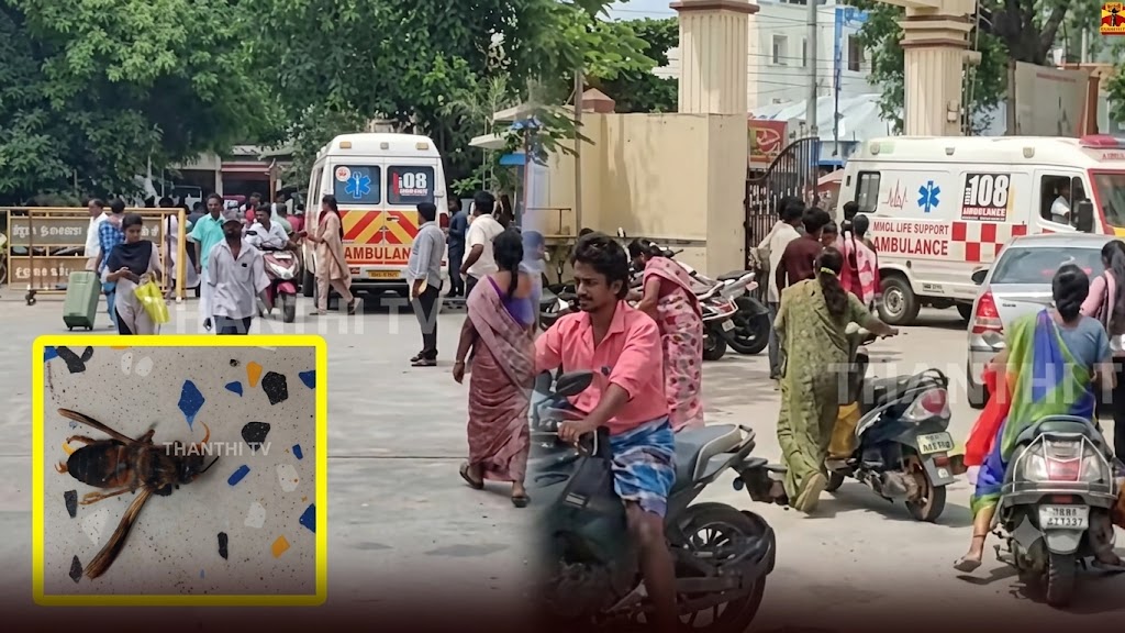 கள ஆய்வின் போது சோகம்! மஞ்சள் குளவி தாக்கி பூச்சியியல் பேராசிரியர் உயிரிழப்பு; 18 மாணவர்கள் காயம் – அதிர்ச்சியில் கல்வி வட்டாரம்