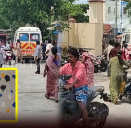 கள ஆய்வின் போது சோகம்! மஞ்சள் குளவி தாக்கி பூச்சியியல் பேராசிரியர் உயிரிழப்பு; 18 மாணவர்கள் காயம் – அதிர்ச்சியில் கல்வி வட்டாரம்