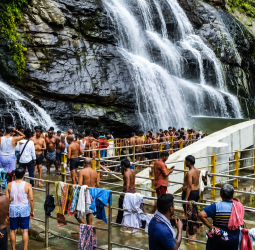 குற்றாலத்தில் களைகட்டும் குளு குளு சீசன்: இதமான சாரல் மழையில் நனையக் குவியும் சுற்றுலாப் பயணிகள்!