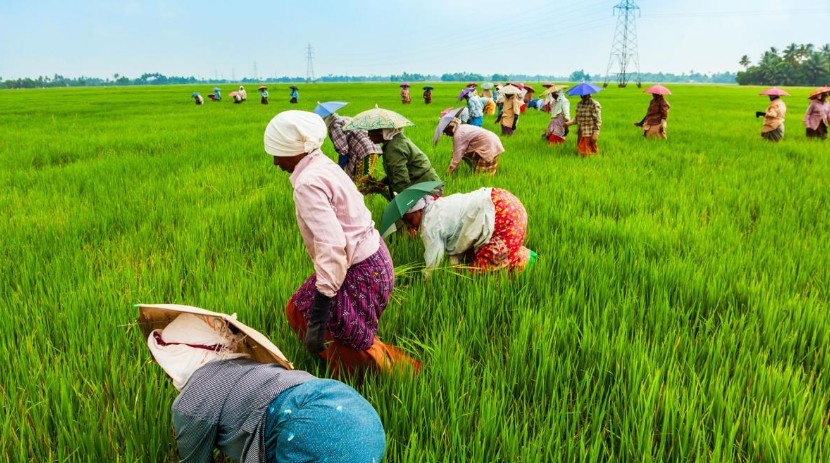 மனித வாழ்வை காக்கும் விவசாயத்தின் மறைக்கப்பட்ட முக்கியத்துவம்