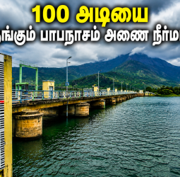 100 அடியை நெருங்கும் பாபநாசம் அணை நீர்மட்டம்!