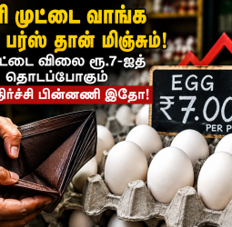 இனி முட்டை வாங்க காலி பர்ஸ் தான் மிஞ்சும்! முட்டை விலை ரூ.7-ஐத் தொடப்போகும் அதிர்ச்சி பின்னணி இதோ!
