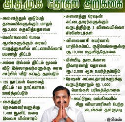 அதிமுக தேர்தல் அறிக்கை 2026: எடப்பாடி பழனிசாமியின் 297 அதிரடி வாக்குறுதிகள் - ஒரு விரிவான பார்வை!