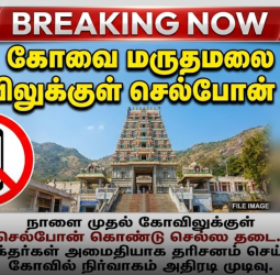 மருதமலை முருகன் கோவில்: நாளை முதல் செல்போன் கொண்டு செல்ல தடை - கோவில் நிர்வாகம் அதிரடி!