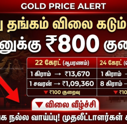இன்று தங்கம் விலை கடும் சரிவு சவரனுக்கு ரூ.800 குறைந்தது!