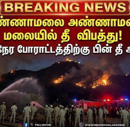திருவண்ணாமலை அண்ணாமலையார் மலையில் தீ விபத்து: 4 மணி நேர போராட்டத்திற்கு பின் அணைப்பு