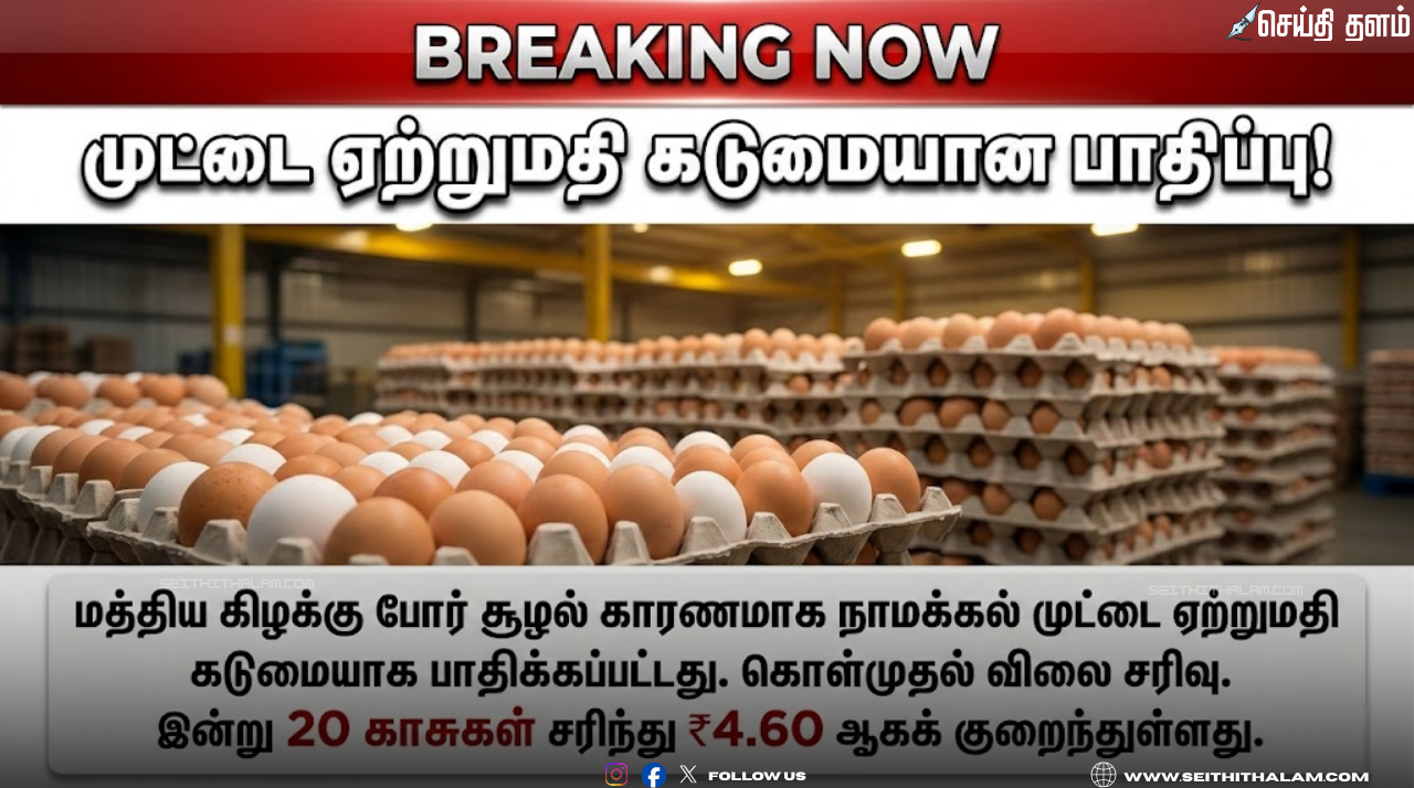 Namakkal Egg Price Crash: போர் பதற்றத்தால் முட்டை ஏற்றுமதி சரிவு - நாமக்கல்லில் முட்டை விலை கடும் வீழ்ச்சி!