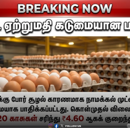 Namakkal Egg Price Crash: போர் பதற்றத்தால் முட்டை ஏற்றுமதி சரிவு - நாமக்கல்லில் முட்டை விலை கடும் வீழ்ச்சி!