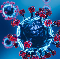 புதிய கோவிட் வேரியண்ட் 'சிக்காடா': 75 மரபணு மாற்றங்களுட2ன் உலக நாடுகளை மிரட்டும் BA.3.2!