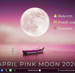 வானில் அரங்கேறும் அதிசயம்: ஏப்ரல் 2-ல் பிரகாசிக்கும் 'பிங்க் மூன்' (Pink Moon) - ஏன் இந்த பெயர்?
