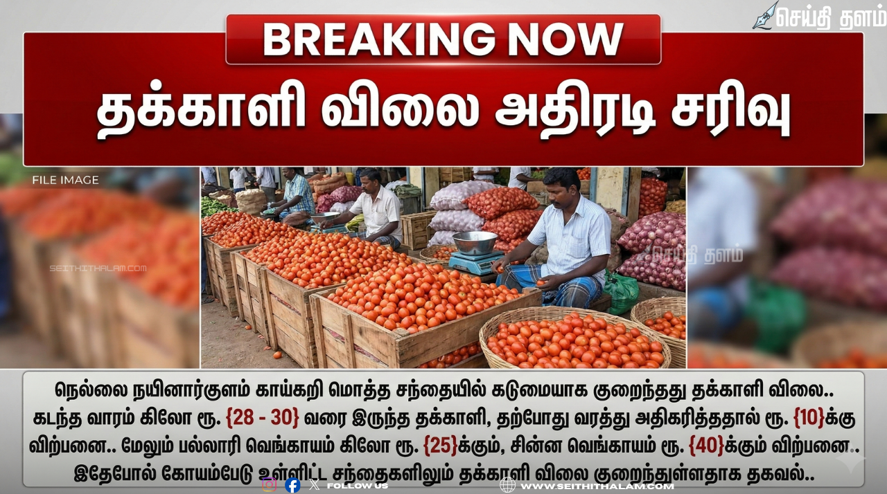 தக்காளி விலை அதிரடி சரிவு: நெல்லை மற்றும் கோயம்பேடு சந்தைகளில் கிலோ ரூ.10-க்கு விற்பனை!