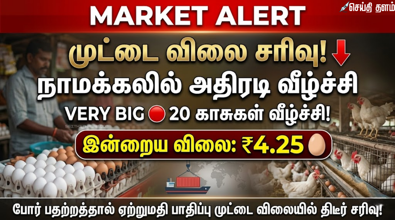 நாமக்கல் முட்டை விலை சரிவு: போர் பதற்றத்தால் ஏற்றுமதி பாதிப்பு - இன்று ஒரே நாளில் 20 காசுகள் வீழ்ச்சி!
