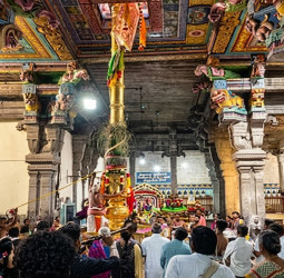 திருச்சி மலைக்கோட்டை தாயுமானவர் கோவில் தெப்பத் திருவிழா 2026