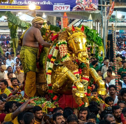 வைகை ஆற்றில் இறங்கினார் கள்ளழகர்: லட்சக்கணக்கான பக்தர்கள் தரிசனம்!