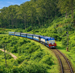 கோடை விடுமுறை: ஊட்டி, கொடைக்கானலில் குவியும் சுற்றுலாப் பயணிகள்!