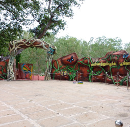 ஸ்ரீரங்கம் வண்ணத்துப்பூச்சி பூங்காவில் புதிய சைக்கிள் டிராக்