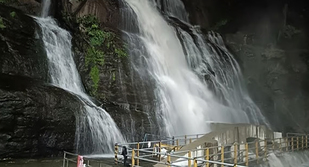 மேற்கு தொடர்ச்சி மலையில் கொட்டித்தீர்க்கும் கனமழை: கும்பக்கரை அருவியில் திடீர் வெள்ளப்பெருக்கு - குளிக்க வனத்துறை அதிரடித் தடை!
