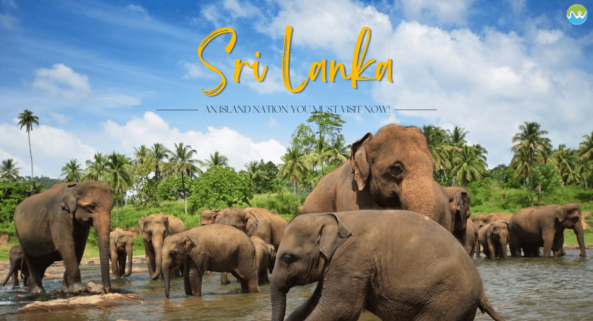 இலங்கை இன்றைய முக்கிய செய்திகள் (25-10-2026): அநுர திஸாநாயக்க வதந்தி மறுப்பு, புயல் எச்சரிக்கை, ரூ.11.8 பில்லியன் போதைப்பொருள் பறிமுதல்!