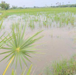 கரூர் இன்றைய முக்கிய செய்திகள் (24-10-2026): வெள்ளத்தில் மூழ்கிய 500 ஏக்கர் நெற்பயிர்கள், தரைப்பாலங்கள் மூழ்கி போக்குவரத்து துண்டிப்பு உள்ளிட்ட டாப் 10 நிகழ்வுகள்!